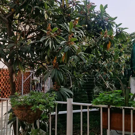 Appartement Casa Dory *